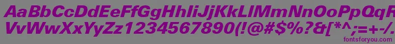 UniversNextProBlackItalic Font – Purple Fonts on Gray Background