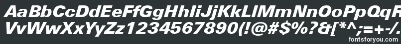 フォントUniversNextProBlackItalic – 白い文字