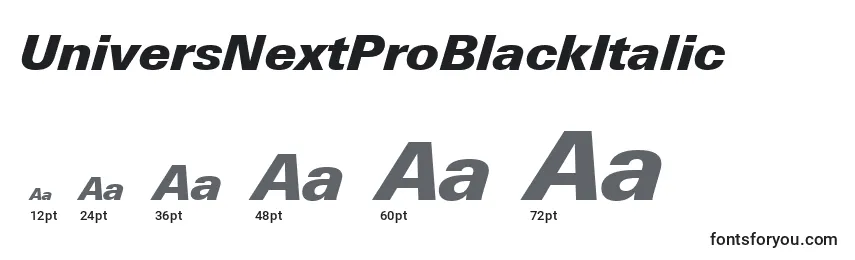 UniversNextProBlackItalic Font Sizes