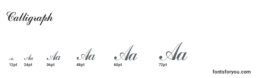 Размеры шрифта Calligraph