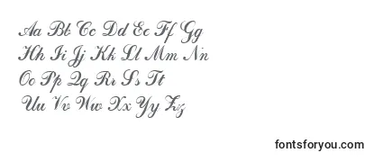 Обзор шрифта Calligraph