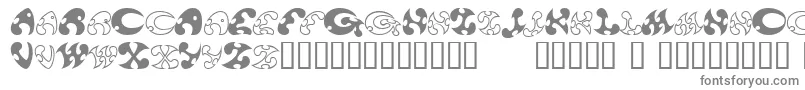 13DokusanNormal Font – Gray Fonts
