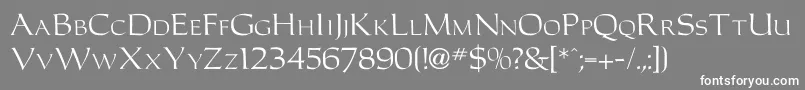 Carolusromanfont-Schriftart – Weiße Schriften auf grauem Hintergrund