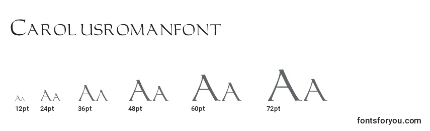Размеры шрифта Carolusromanfont