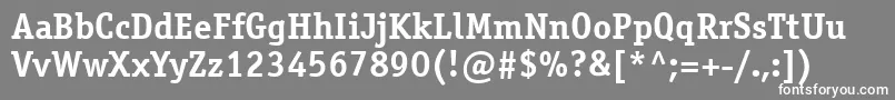 OfficinaserifcttBold Font – White Fonts on Gray Background