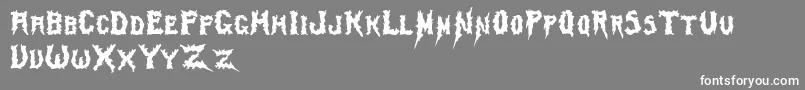 Swamp ffy Font – White Fonts on Gray Background