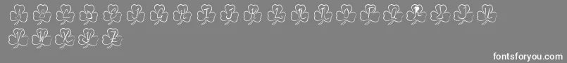 PotOfGold Font – White Fonts on Gray Background