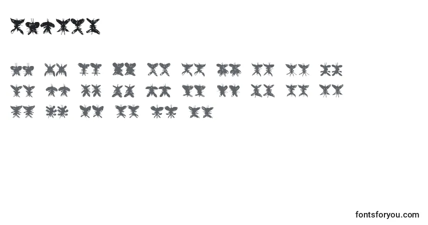 Czcionka Falter – alfabet, cyfry, specjalne znaki