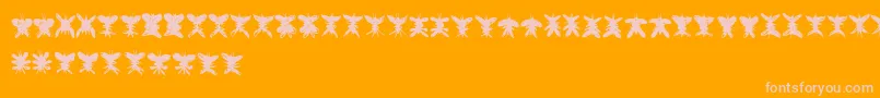 Falter Font – Pink Fonts on Orange Background