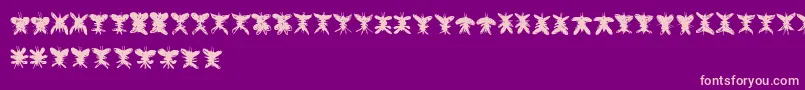 Falter Font – Pink Fonts on Purple Background