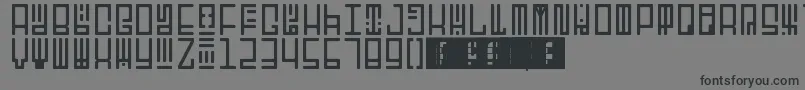 TotemRegular Font – Black Fonts on Gray Background