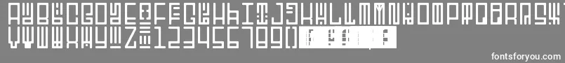 TotemRegular Font – White Fonts on Gray Background