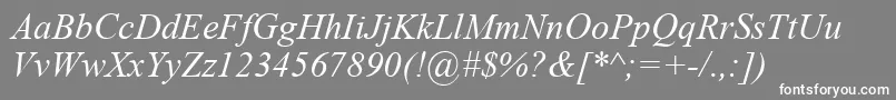 TimesNewRomanРљСѓСЂСЃРёРІ Font – White Fonts on Gray Background