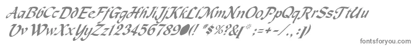 MetermiserItalic Font – Gray Fonts on White Background