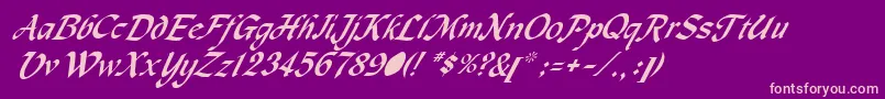 MetermiserItalic Font – Pink Fonts on Purple Background