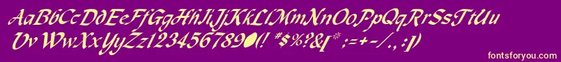 MetermiserItalic Font – Yellow Fonts on Purple Background