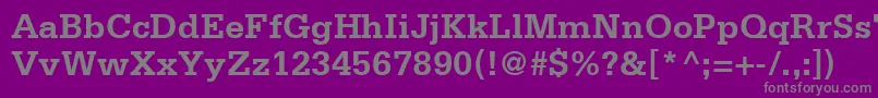 フォントSerifaLt65Bold – 紫の背景に灰色の文字