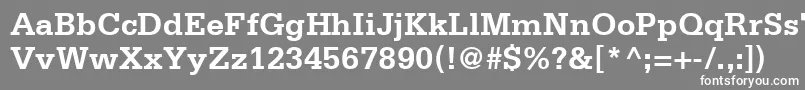 フォントSerifaLt65Bold – 灰色の背景に白い文字