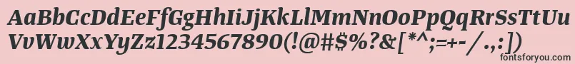 Czcionka TangerserifmediumBolditalic – czarne czcionki na różowym tle