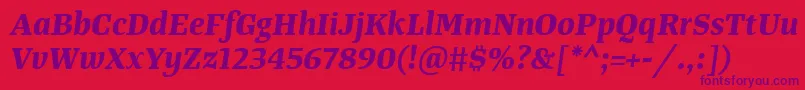 TangerserifmediumBolditalic-Schriftart – Violette Schriften auf rotem Hintergrund