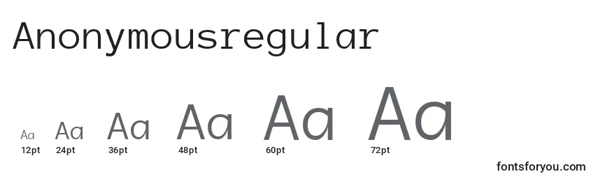 Anonymousregular Font Sizes
