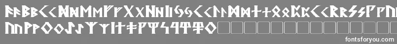 KehdraiBold Font – White Fonts on Gray Background