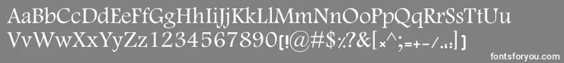 MotkenKElham Font – White Fonts on Gray Background