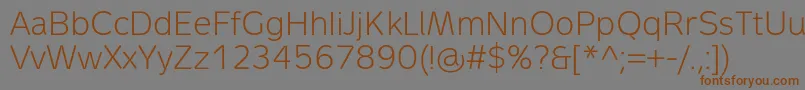 Подробнее о шрифте MetronLightPro Шрифт MetronLightPro – коричневые шрифты на сером фоне