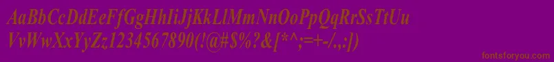 TimesRomanCnBoldItalic Font – Brown Fonts on Purple Background