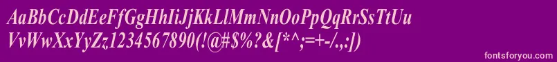 TimesRomanCnBoldItalic Font – Pink Fonts on Purple Background