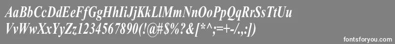 TimesRomanCnBoldItalic Font – White Fonts on Gray Background