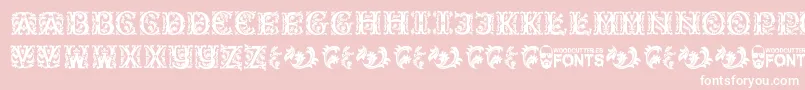 BeautyInitials-Schriftart – Weiße Schriften auf rosa Hintergrund