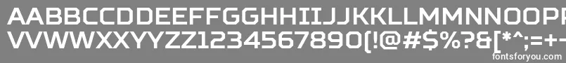 フォントSquaresBoldFree – 灰色の背景に白い文字