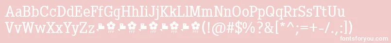フォントPentayBookFfp – ピンクの背景に白い文字