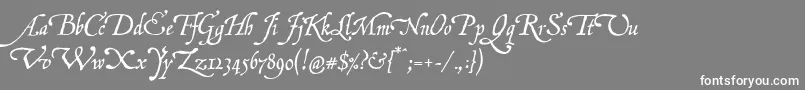 フォントP22grenville – 灰色の背景に白い文字