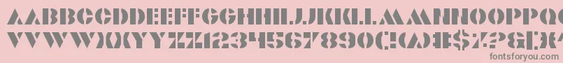 Valiant Font – Gray Fonts on Pink Background