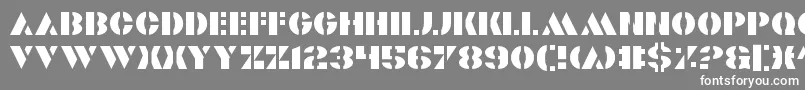 Valiant Font – White Fonts on Gray Background