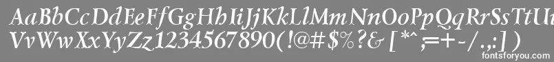 フォントLzr66C – 灰色の背景に白い文字