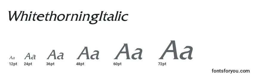 WhitethorningItalic Font Sizes