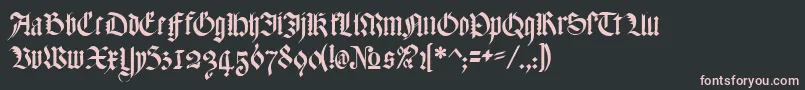 MeyneTextur Font – Pink Fonts on Black Background