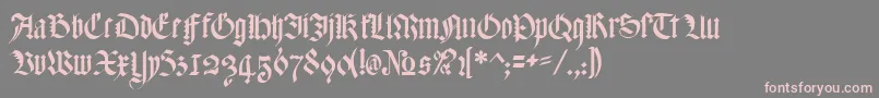 More about MeyneTextur Font MeyneTextur Font – Pink Fonts on Gray Background