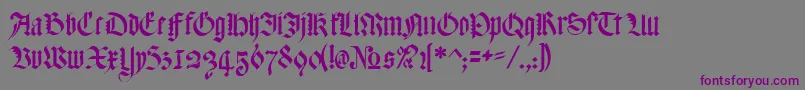 MeyneTextur Font – Purple Fonts on Gray Background