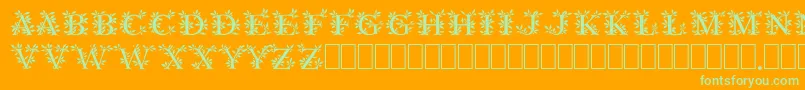 GayaneStoRegular Font – Green Fonts on Orange Background