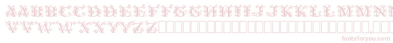GayaneStoRegular Font – Pink Fonts on White Background