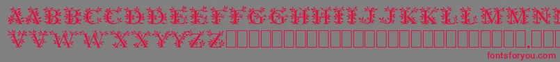 GayaneStoRegular Font – Red Fonts on Gray Background