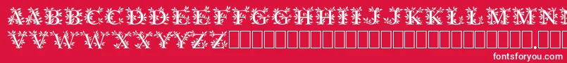 GayaneStoRegular Font – White Fonts on Red Background