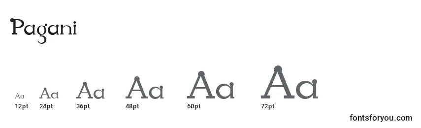 Размеры шрифта Pagani