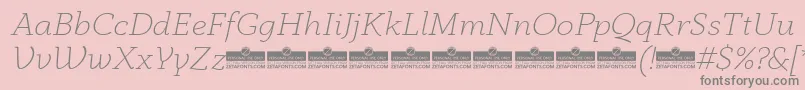 AnaphoraExtralightItalicTrial Font – Gray Fonts on Pink Background