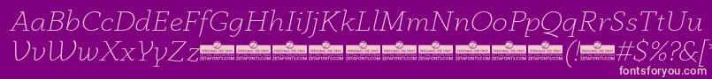 AnaphoraExtralightItalicTrial Font – Pink Fonts on Purple Background