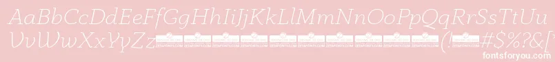 AnaphoraExtralightItalicTrial Font – White Fonts on Pink Background